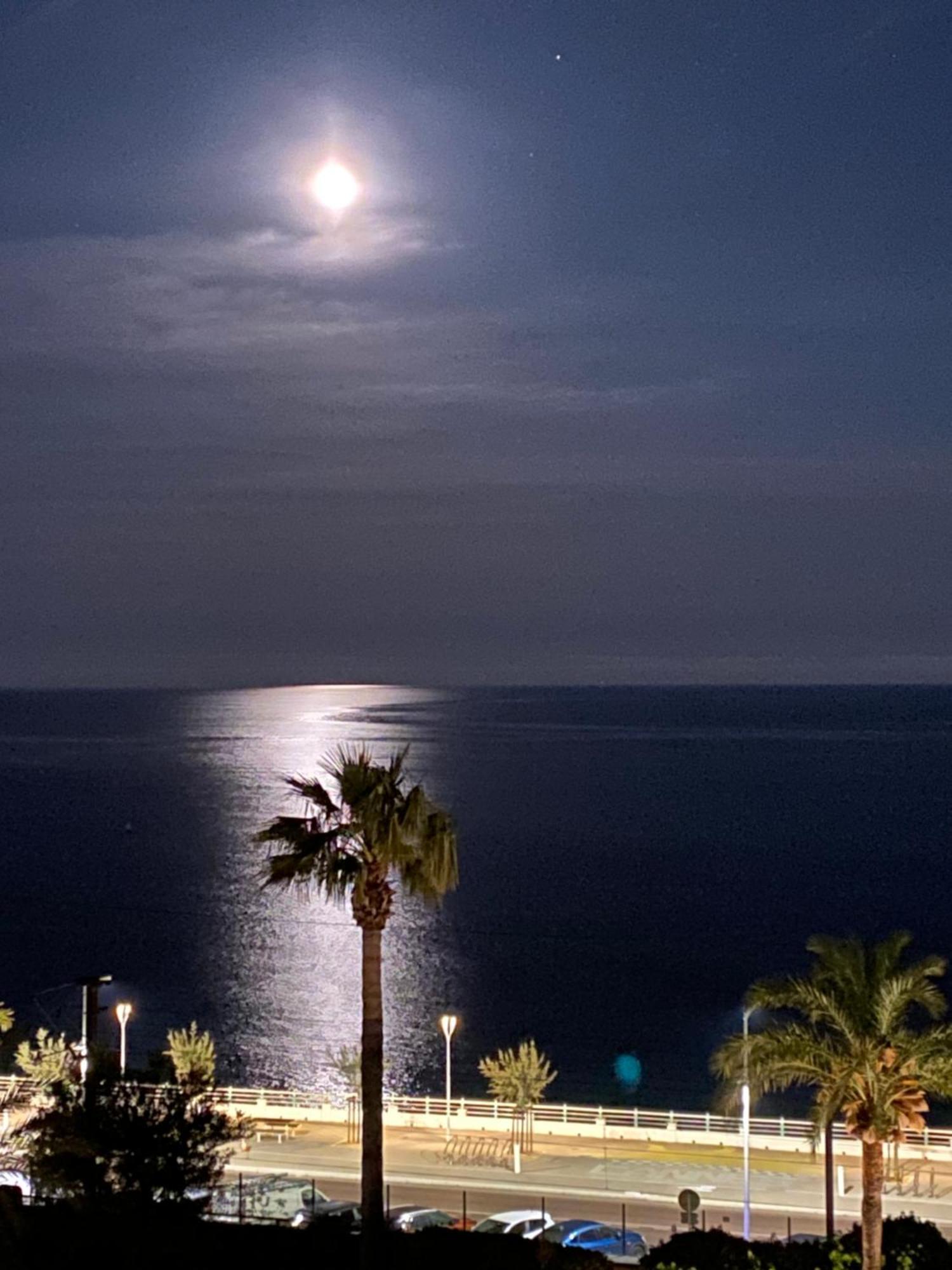 Bord De Mer, Terrasse, Tout A Pieds Cannes Eksteriør bilde
